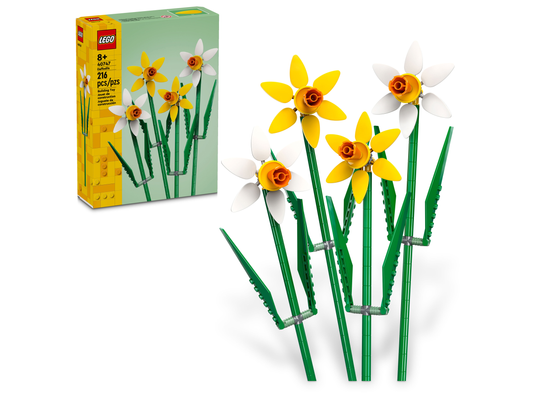 40746 Daffodils