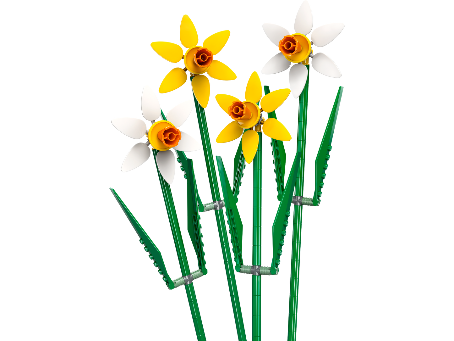 40746 Daffodils