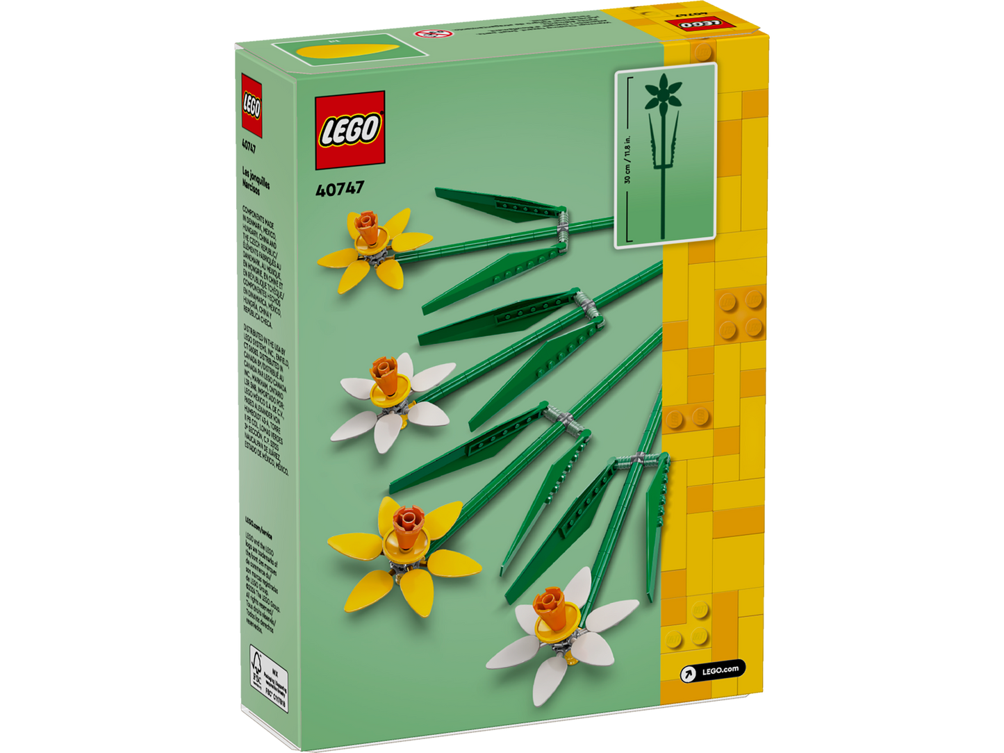 40746 Daffodils