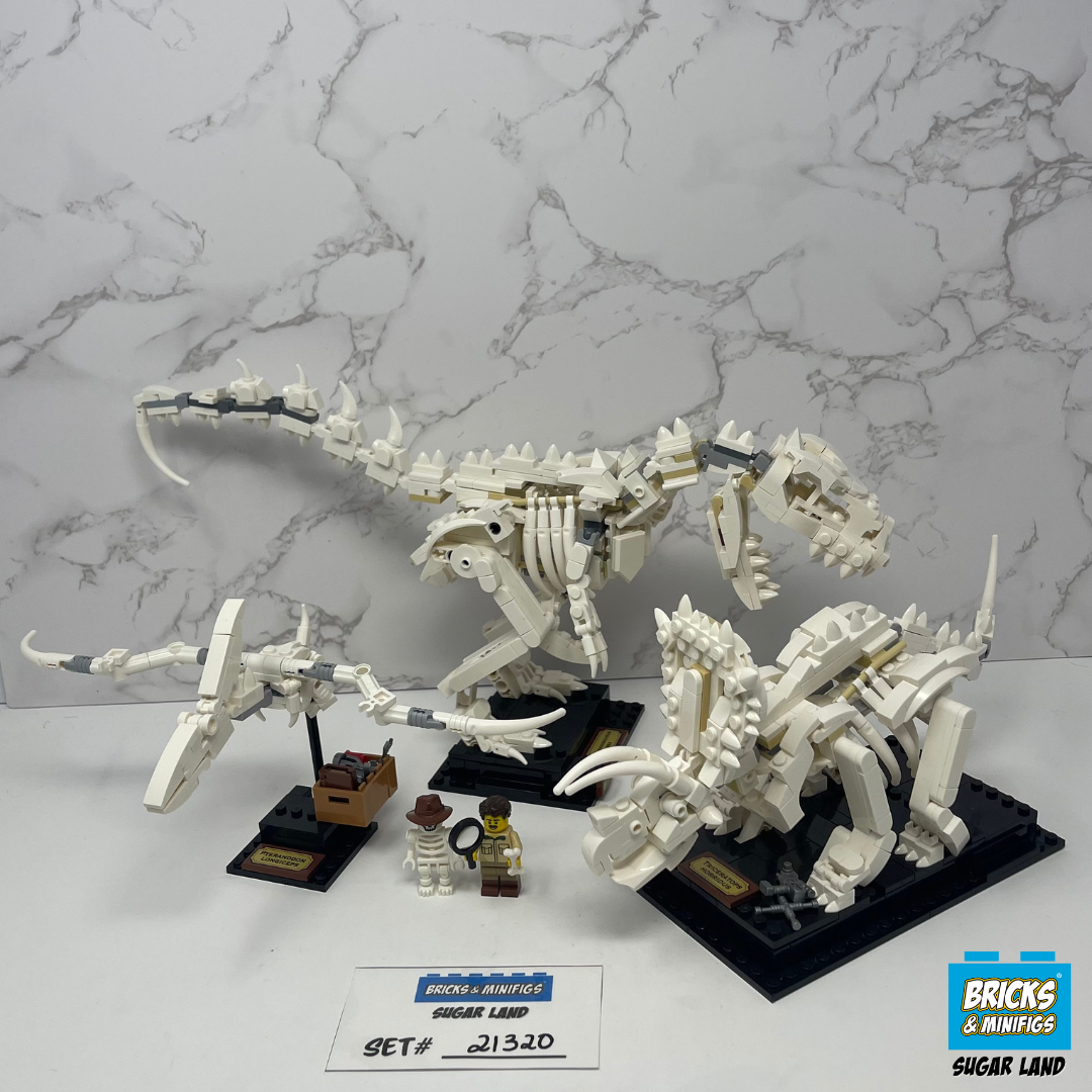 21320- Dinosaur Fossils (U)